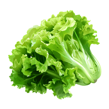 Alface